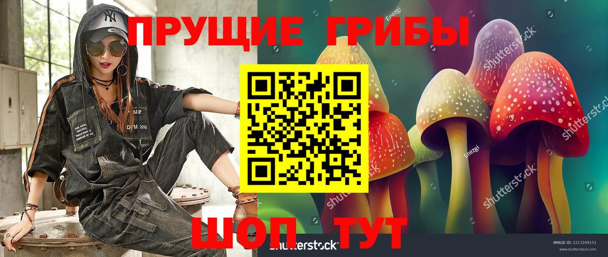 Галлюциногенные грибы GOLDEN TEACHER Советская Гавань