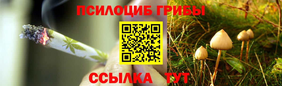 Псилоцибиновые грибы Cubensis  Вход с VPN  Советская Гавань  Псилоцибиновые грибы прущие грибы 